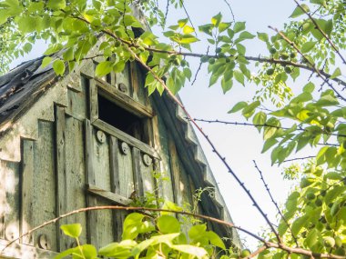 mavi gökyüzüne karşı kırsal eski ahşap ev çatı yakın