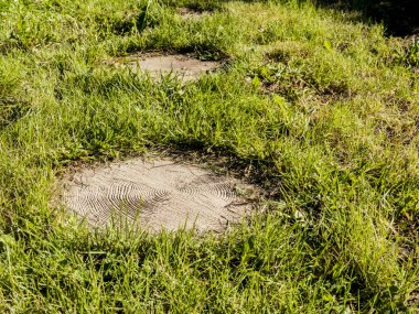 patika bir ahşap yapılmış bir yeşil çim üzerinde ağaç kesim adet gördüm