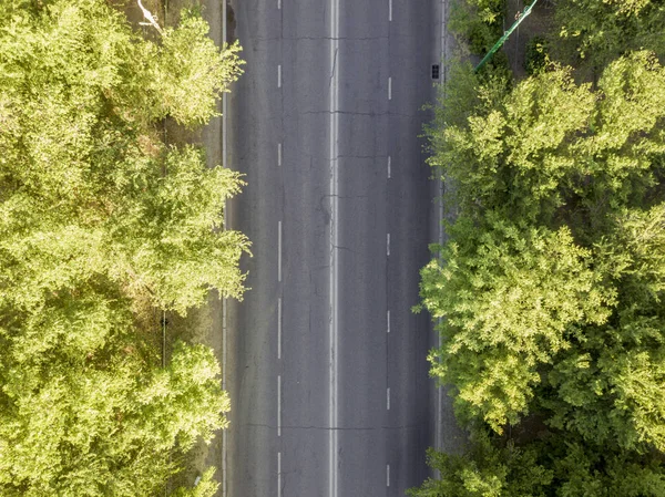 Fejük Fölött Üres Város Road Fák Között — Stock Fotó