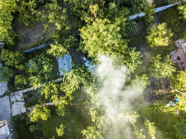 aerial view of smoke from fire between the trees in the garden