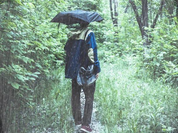 Человек Пальто Зонтиком Мешком Походы Гору Лесу Тропе — стоковое фото