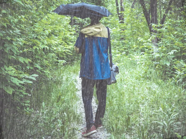 Hombre Abrigo Con Paraguas Bolsa Senderismo Montaña Bosque Camino — Foto de Stock