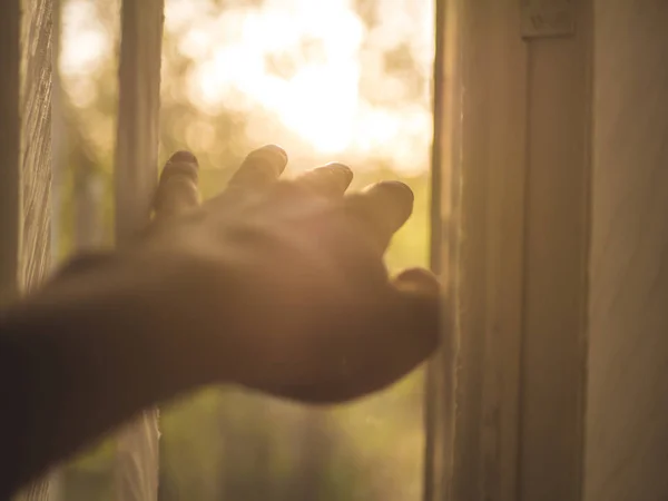 Handen Mellan Persienner Tittar Solnedgången Genom Fönstret Hemma — Stockfoto