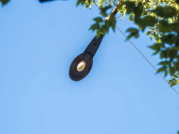 Luz Una Sola Calle Contra Cielo Durante Día — Foto de Stock