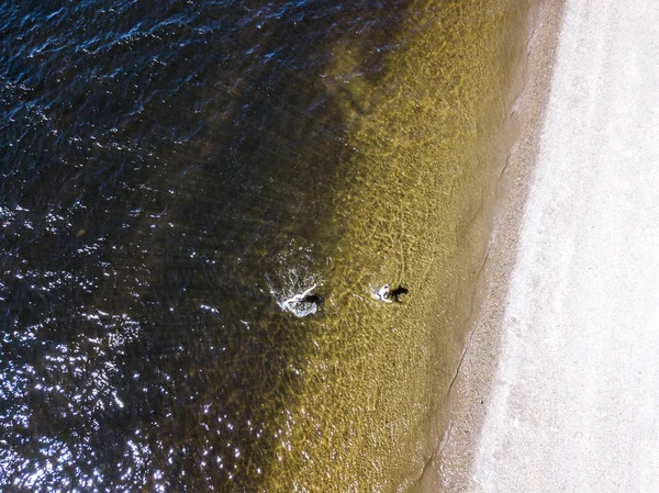 Deux Amis Masculins Marchant Dans Eau Mer Près Plage — Photo