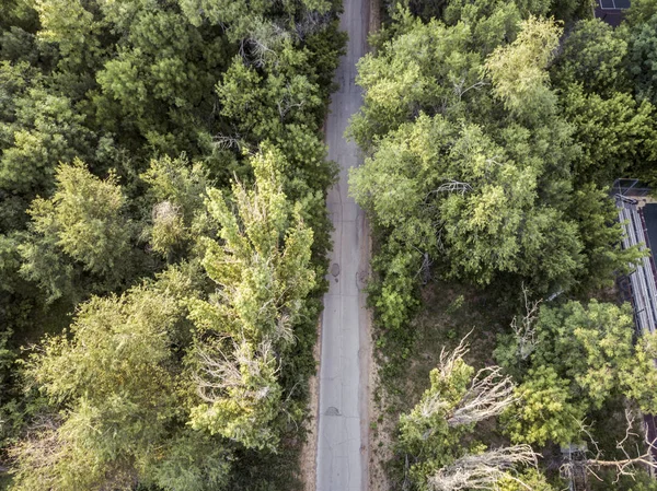 Aerial Moody Road Trees Dark Atmospheric Way — Stock Photo, Image