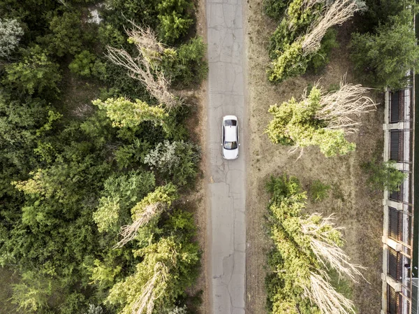 Vue Aérienne Conduite Automobile Dans Forêt Route Lunaire — Photo