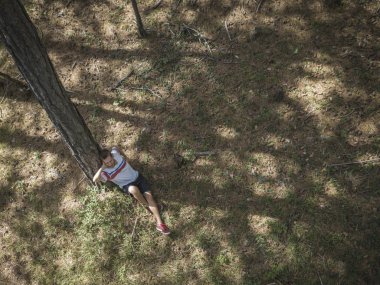 çam ormanı ağaç altında sakin ol ve rahat oturma rüyada yalnız yalnız genç adamın yüksek görünümü top
