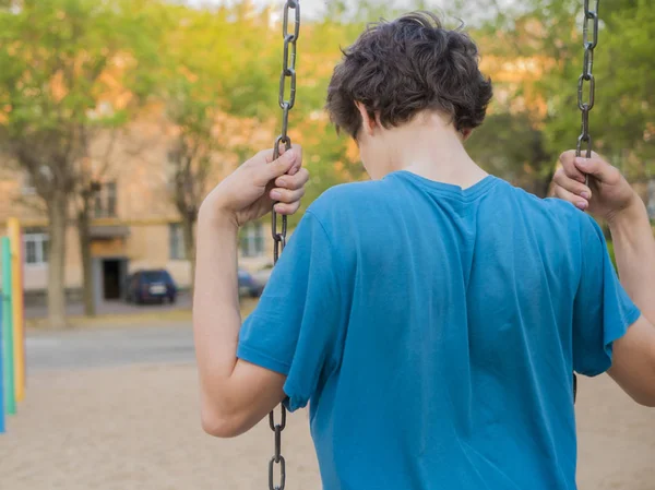 Vista Posteriore Del Giovane Ragazzo Seduto Altalena Una Giornata Estiva — Foto Stock