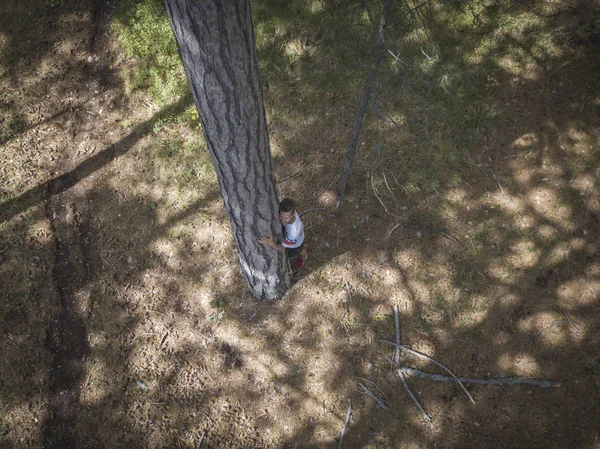 Vue Haut Jeune Homme Embrassant Aimant Pin Dans Forêt — Photo