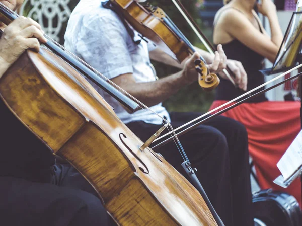 Nahaufnahme Straßenmusiker Spielt Violininstrument Jazzmusiker — Stockfoto