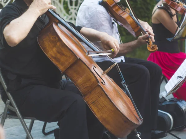 Cellist Musiker Gruppe Musik Auf Der Straße Nahaufnahme Mann Spielt — Stockfoto