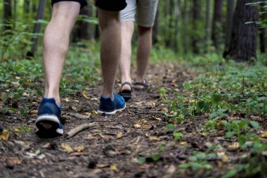 Sonbahar ormanda bir kamp gezisi hiking üzerinde yürüyen insanlar bacaklar yukarı kapatın