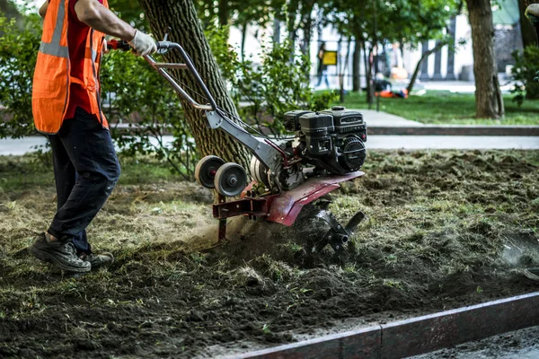 トラクターのマシンで土壌を育成通りに都市のいくつかの木を植えることの労働者のグループ — ストック写真