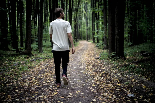 Samotny Młody Mężczyzna Hipster Zwykłe Spacery Ciemnym Lesie Moody Jesienią — Zdjęcie stockowe