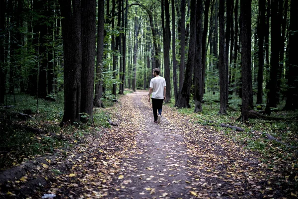 Одинокий Молодой Хипстер Случайных Прогулках Осеннему Мрачному Лесу Опавшими Листьями — стоковое фото