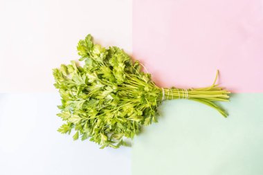 maydanoz grup ile yumuşak renk arka plan f ile izole kopya alanı tasarım ile yaratıcı kavramı