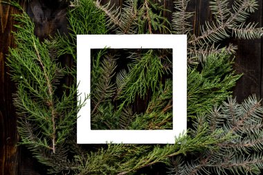 Yaratıcı Noel düz yatıyordu düzen beyaz çerçeve üstüne çam ahşap ağaç dalları ile kopya alanı d
