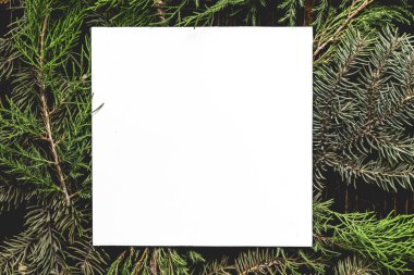 Top düz düzen Noel dekorasyon oyuncak çam ağacı dalları kavramı s üzerinde boş beyaz bir çerçeve ile yatıyordu