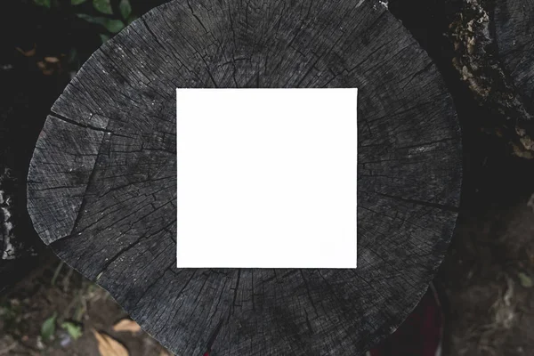 Yaratıcı düzen kopya alanı ile beyaz kart çerçeve ahşap kesilmiş ağaç doku üstten görünüm f — Stok fotoğraf