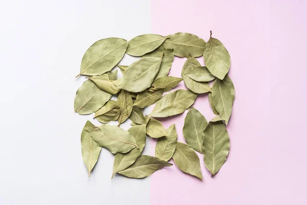 dried green tea leaves on soft color background surface with a square frame mock up concept f