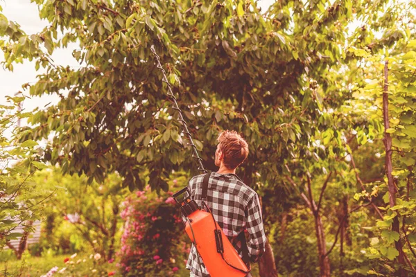 Мужчина фермер, применяющий защиту от инсектицида спрея на листьях деревьев с помощью насоса — стоковое фото