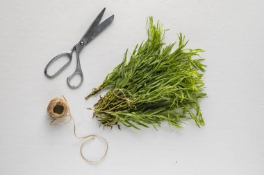 Masada bir demet aromatik tarhun, yemek yapmak için aromatik otlar, özel malzemeler.