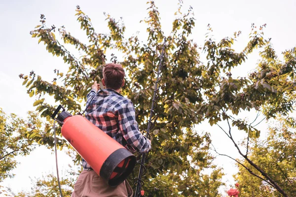 Landwirt sprüht Insektizid-Schutz mit Pumpe auf die Baumblätter — Stockfoto
