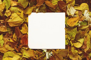 Metniniz için sonbahar yaprakları içeren bir kopya uzay modelleme tasarımı