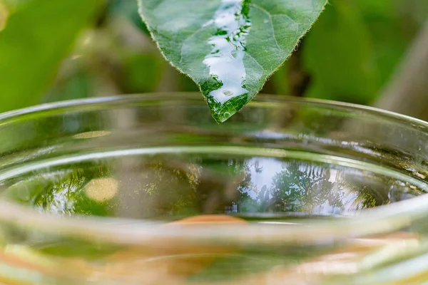 cam uçucu yağ damla, cilt bakım tıp kavramı