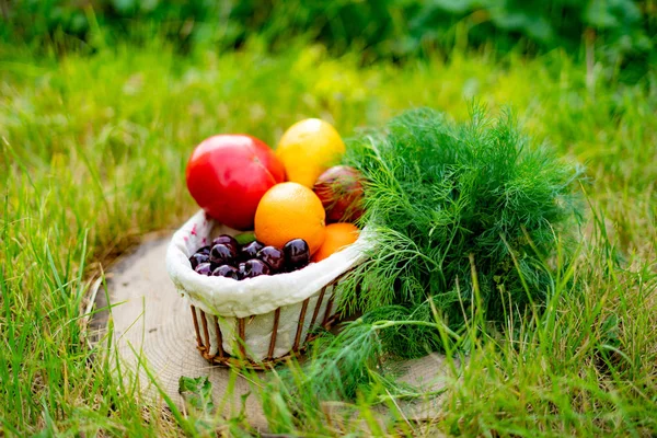 Diferentes legumes e frutas colheita no cesto ímpio no chão — Fotografia de Stock