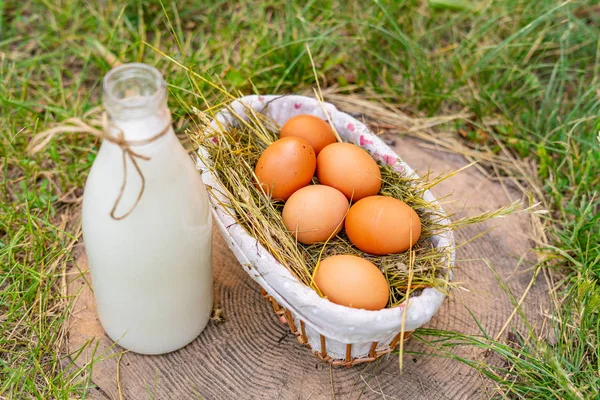 Produits laitiers frais sains de lait et d'œufs dans les exploitations — Photo