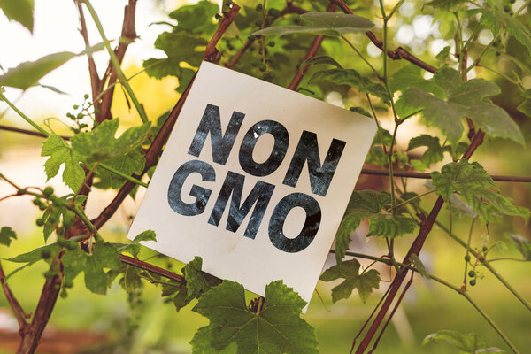 квадратный белый фрейм с негмо текстовой концепцией на фермах
