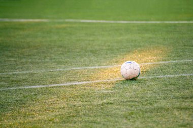 çim alanında futbol futbol topu