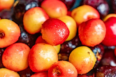 üzerlerinde su damlaları ile çok renkli kiraz meyveleri makro yakın, siyah kırmızı ve sarı