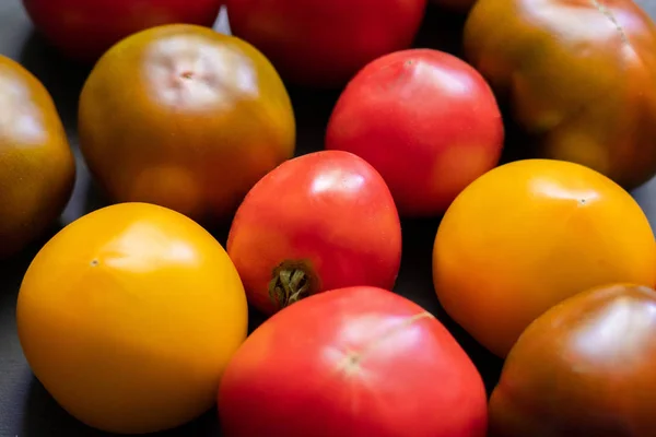 Různá barevná rajčata, červená, růžová, hnědá a žlutá, bioprodukt — Stock fotografie