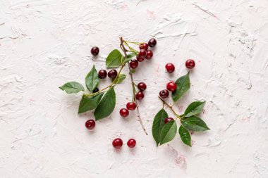 yeşil yaprakları düz lay.s ile ham kiraz meyveleri dalı