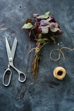Mutfak makası, dilimlenmiş ya da küçük parçalar halinde kesilmiş otlar ya da yemyeşil düzlükler düz yüzeyde uzanır.