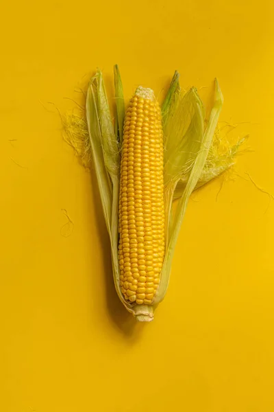 Top view set of raw fresh corns with skin on color surfaces — Stock Photo, Image