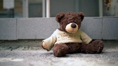 Oyuncak ayı görüntüleri kapat.