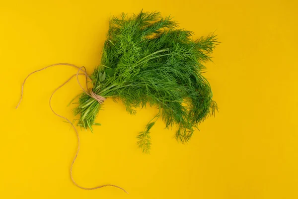 Ramo Uma Erva Endro Verde Fundo Amarelo Com Fio — Fotografia de Stock