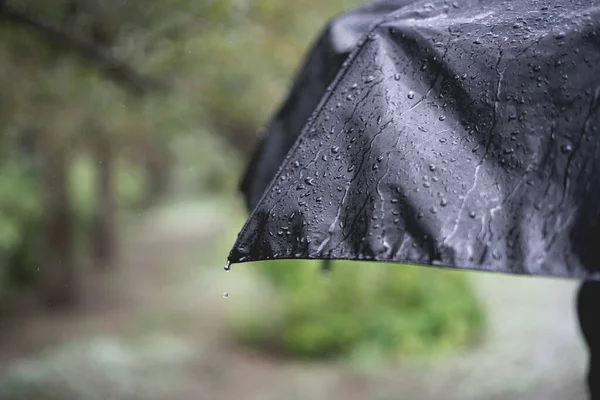 Cerrar Gotas Lluvia Superficie Del Paraguas Durante Lluvia Macro Disparo — Foto de Stock