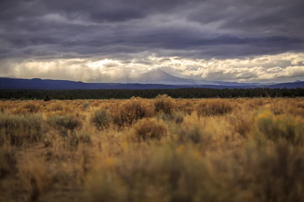 Prairie Landscape Illuminated Cloudy Sky — Stock Photo, Image