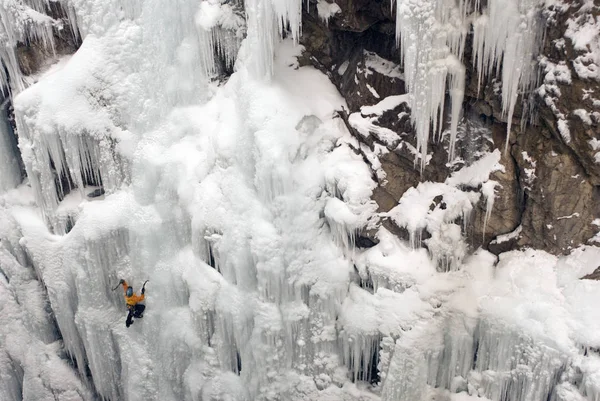 Ice Climber Climbing Frozen Waterfall Rope Ouray Ice Park Ouray — Stock Photo, Image