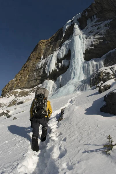 Visão Traseira Escalador Gelo Andando Com Mochila Alberta Canadá — Fotografia de Stock