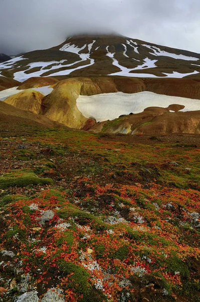 Feuillage Automne Montagne Enneigée Dans Les Highlands Islandais — Photo