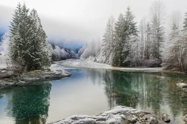 Niebla Invernal Sobre Árboles Nevados Orilla Del Lago Isla Vancouver — Foto de Stock