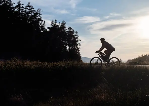 Cyclist Riding Bike Road Acadia National Park Maine — Stock Photo, Image