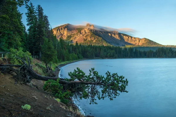 Usa Pazifik Nordwesten Oregon Pine Newberry National Volcanic Monument Paulina — Stockfoto