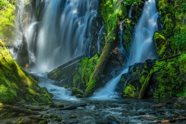 États Unis Pacifique Nord Ouest Oregon Comté Klamath Cascades National — Photo